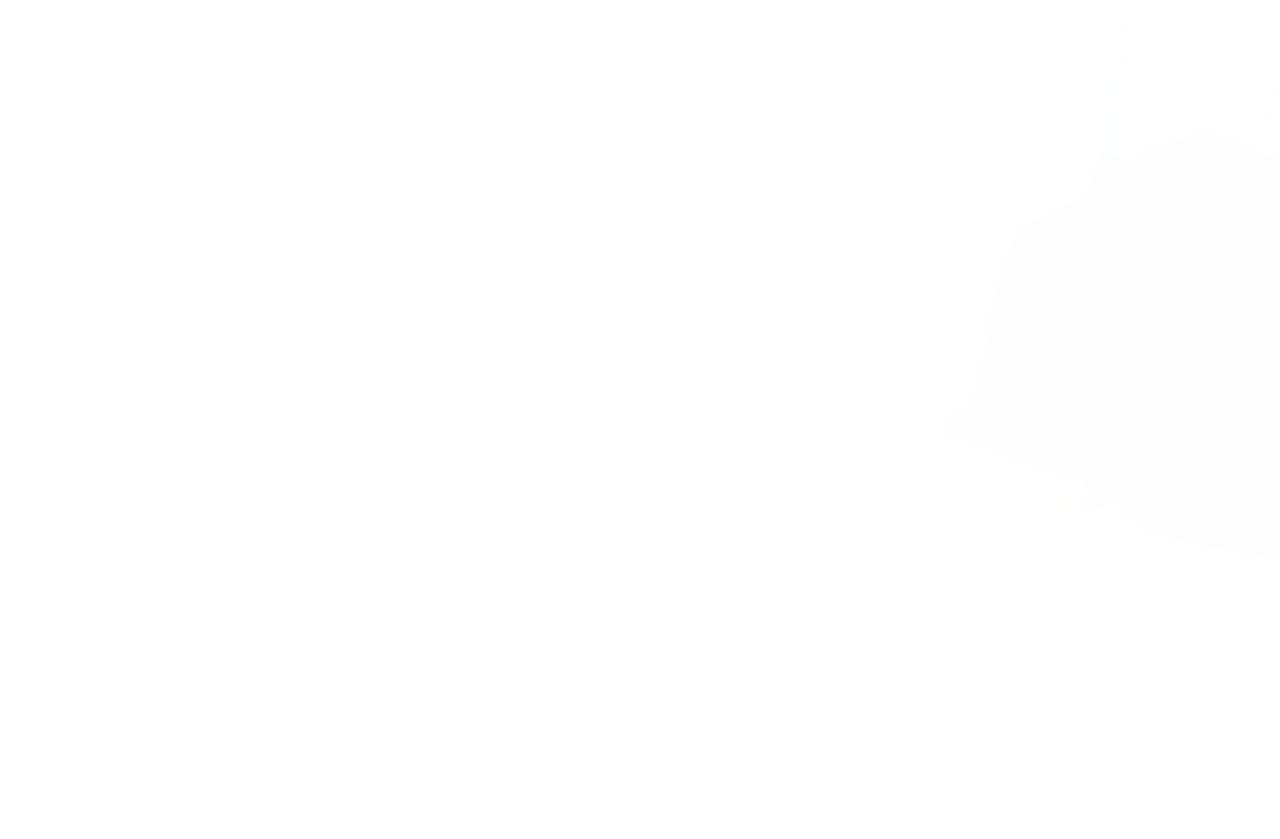 T2 sector boundary