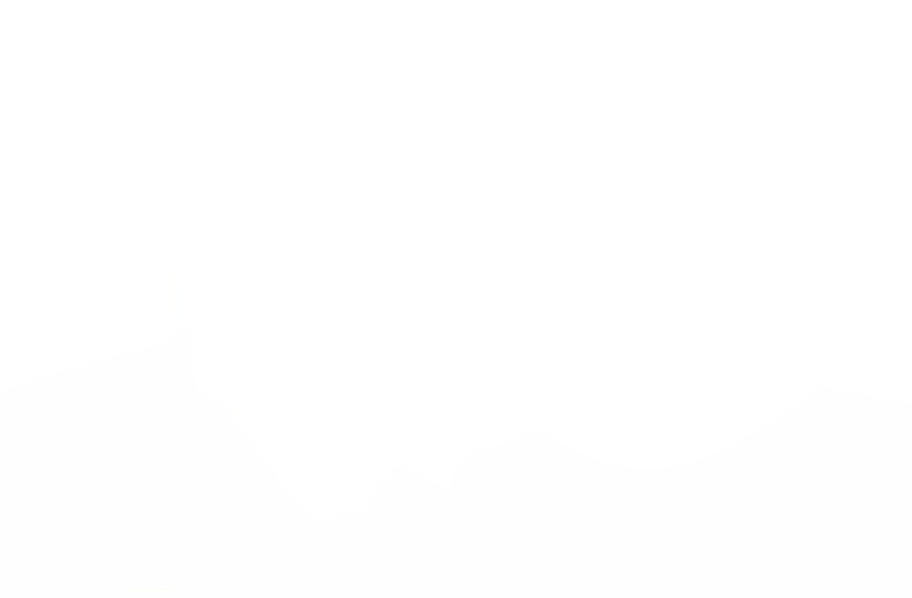 T4 sector boundary